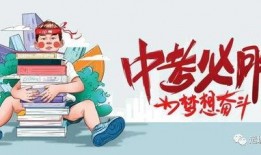 棒棒堂最新爆料消息,神秘事件背后真相揭晓